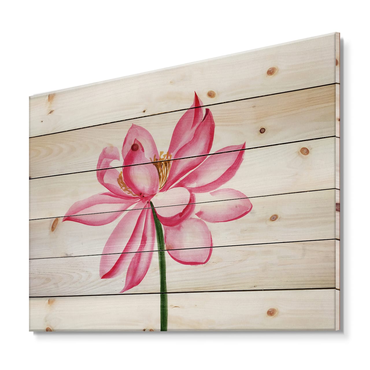 Designart - Vintage Detail of A Pink Lotus - Traditional Print on Natural Pine Wood